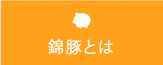 錦豚とは