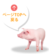 ページTOPへ戻る