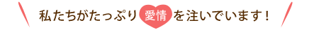 私たちがたっぷり 愛情 を注いでいます！