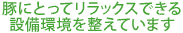 豚にとってリラックスできる設備環境を整えています