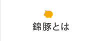 錦豚とは