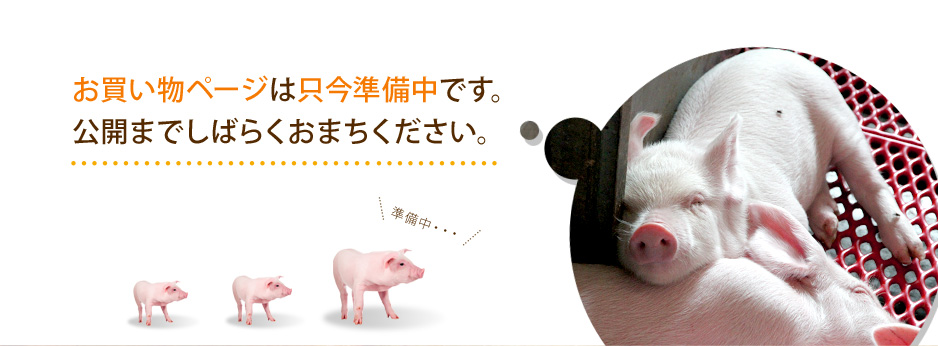 お買い物ページは只今準備中です。公開までしばらくおまちください。
